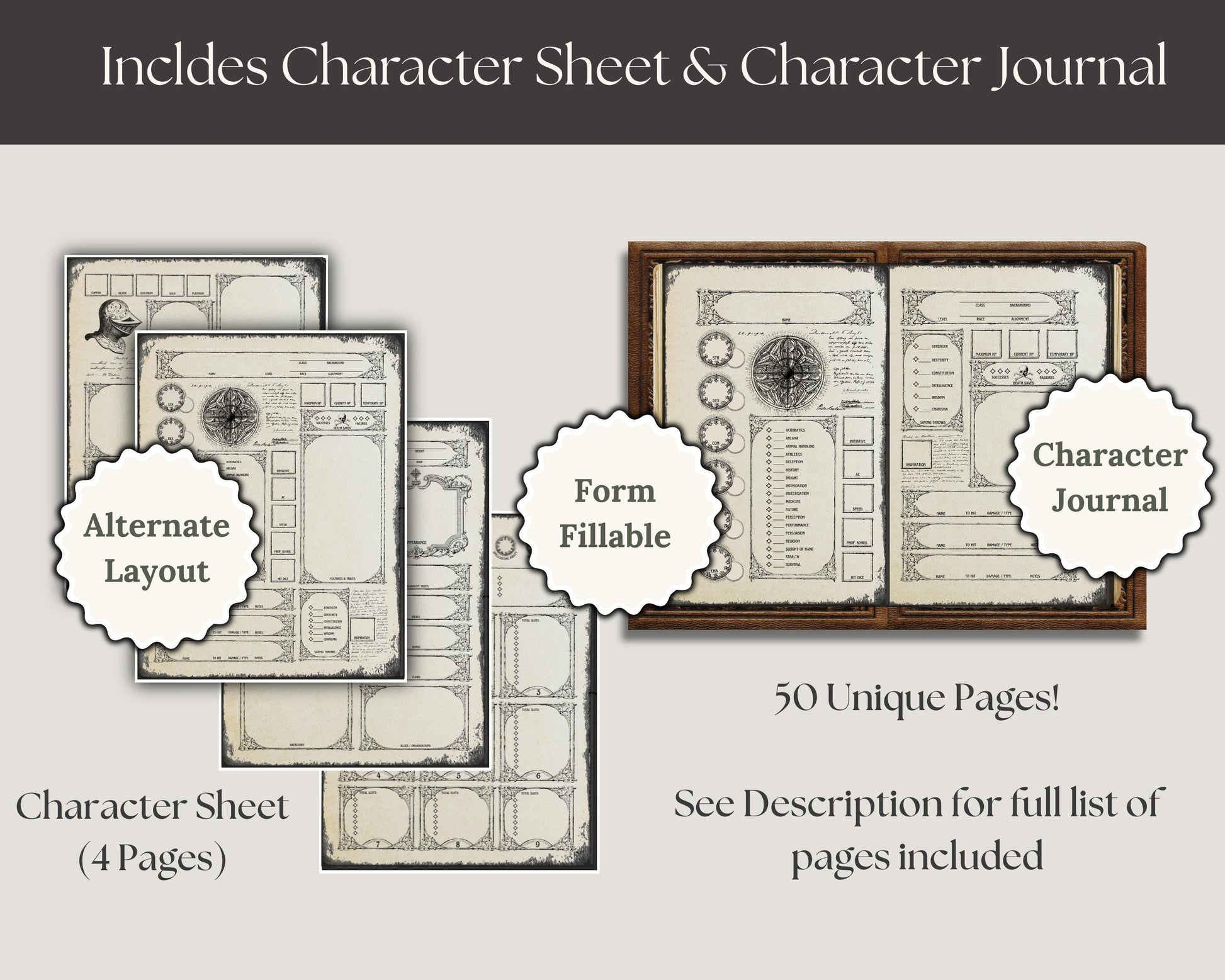 DnD Character sheet and DnD character journal with alternate layout and form-fulfillable sections on a gray background.