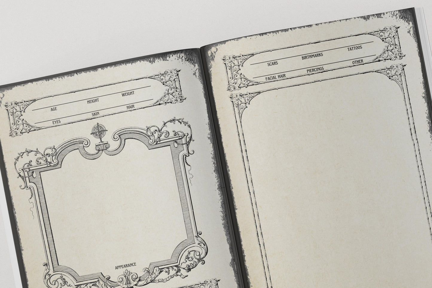 Appearance pages from a dnd character journal 