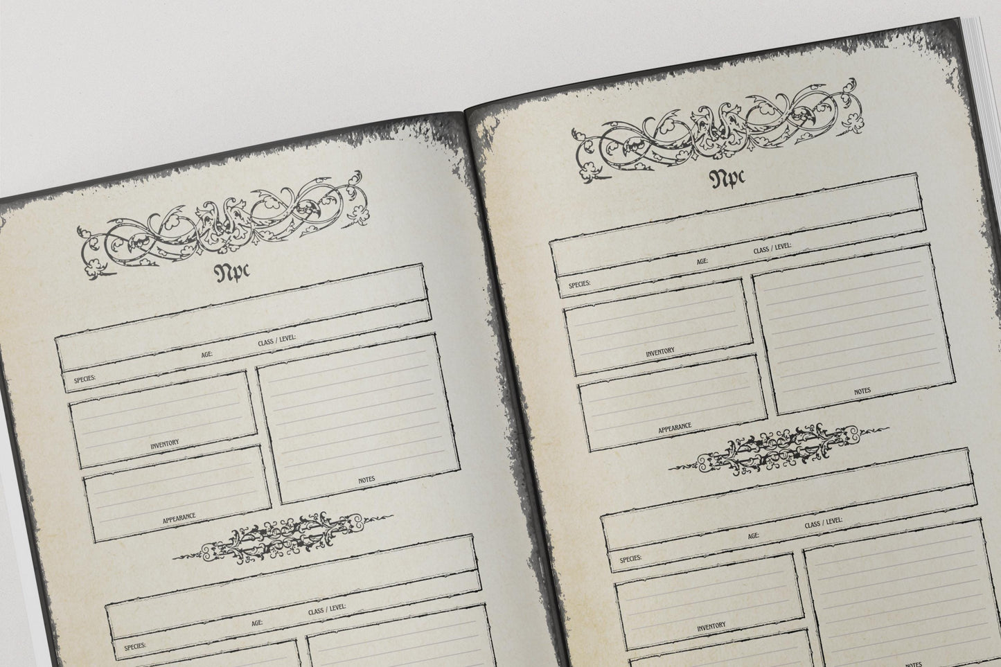 Two open pages of a notebook with decorative elements and npc sections.
