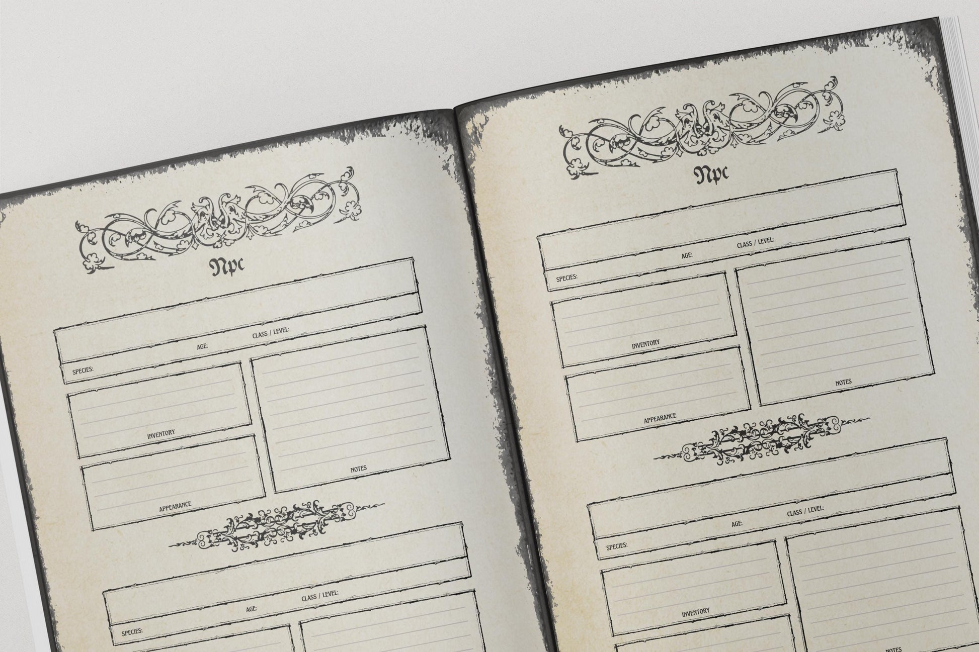 Two open pages of a notebook with decorative elements and npc sections.
