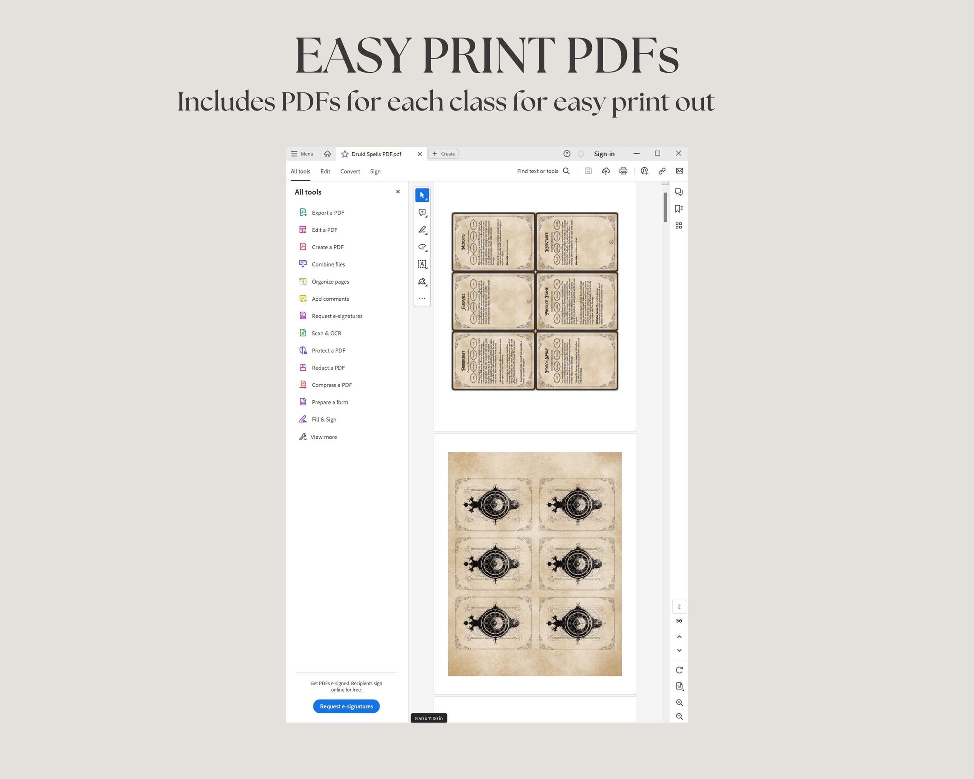 Screen of a computer interface showing PDFs for easy printout with text 'EASY PRINT PDFS' and 'Includes PDFs for each class for easy print out'.