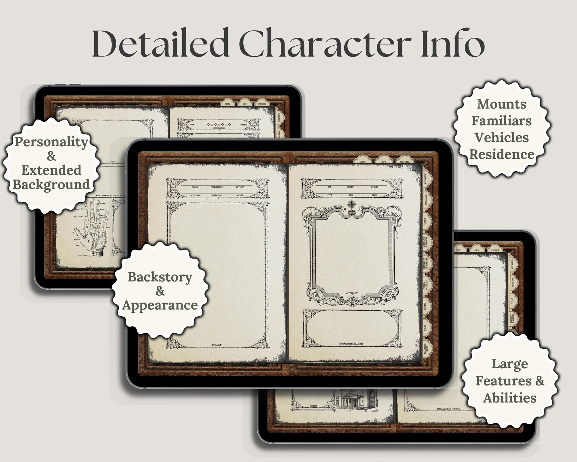 Character information sheets with various page descriptions