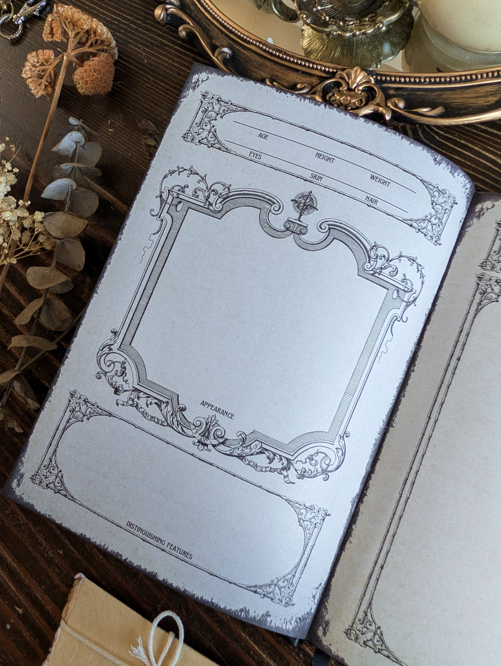 Open D&D journal showing character appearance and character detail pages